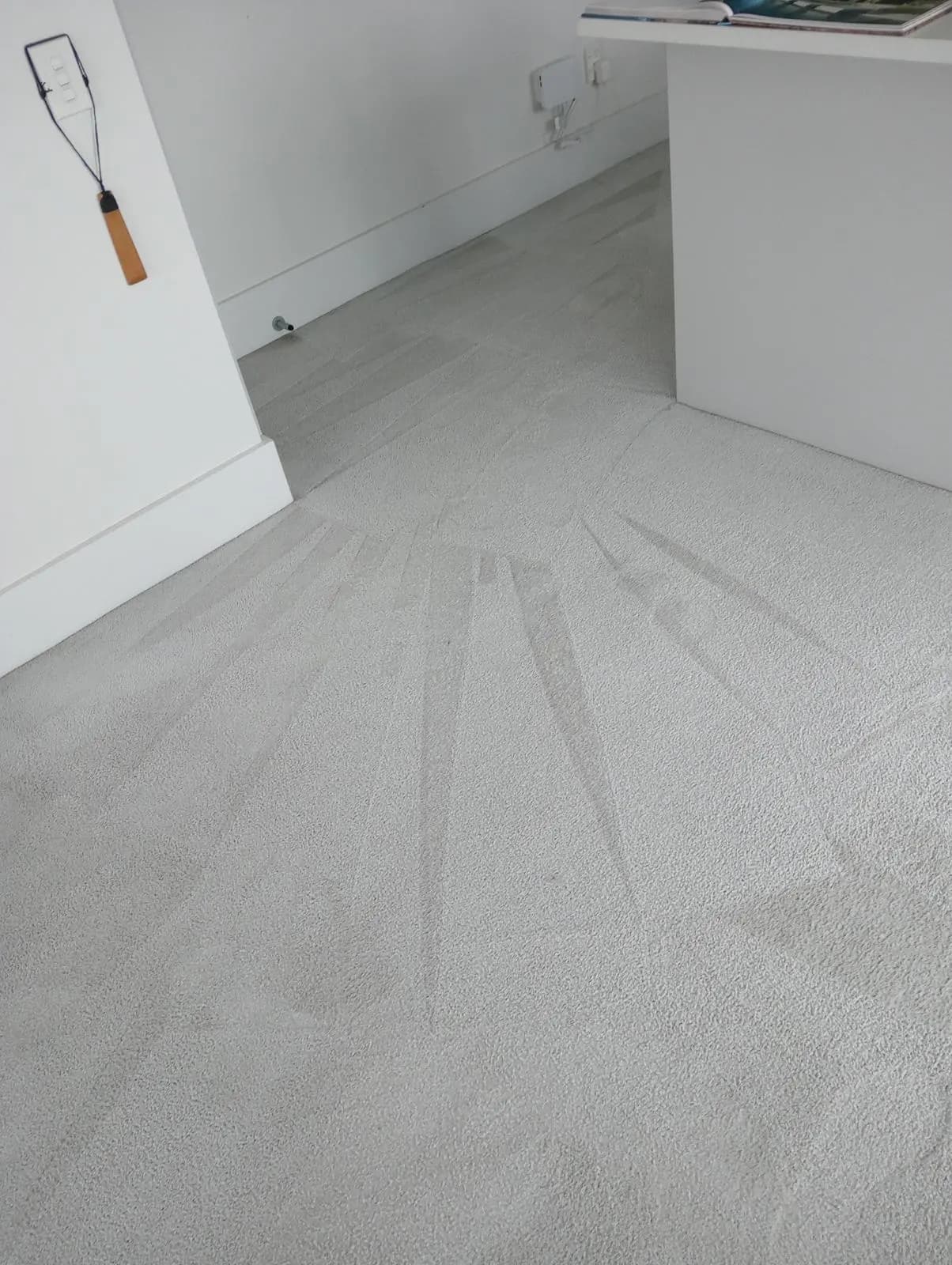 Professional carpet cleaning